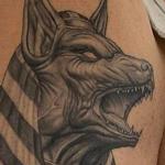 Tattoos - Anubis Tattoo - Healed - 140654